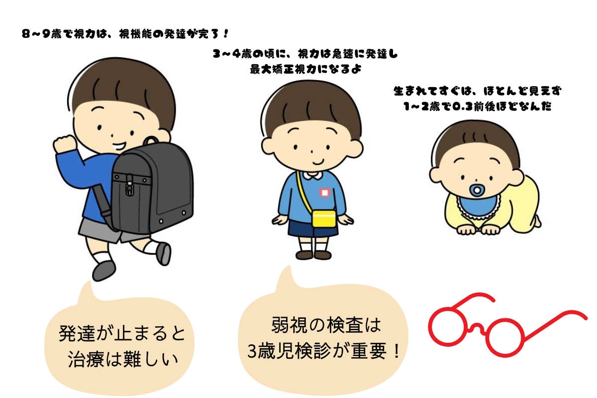 9歳までの視機能の完成までに治療をしないと効果が薄くなる